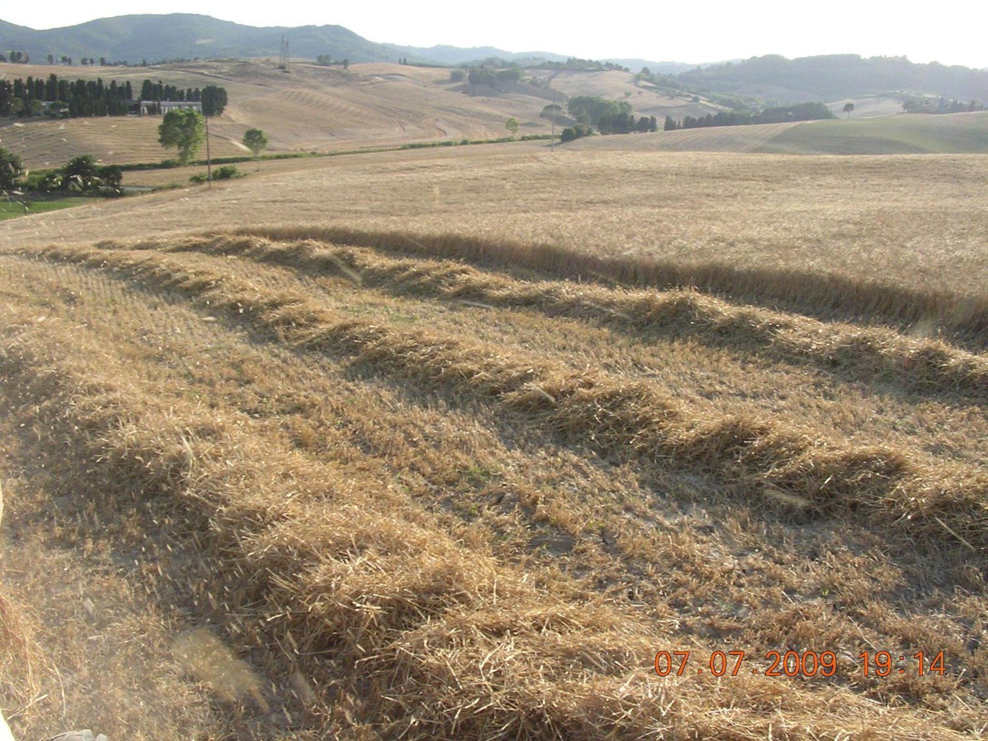 Agriturismo Cappellese Castelnuovo della Misericordia Экстерьер фото